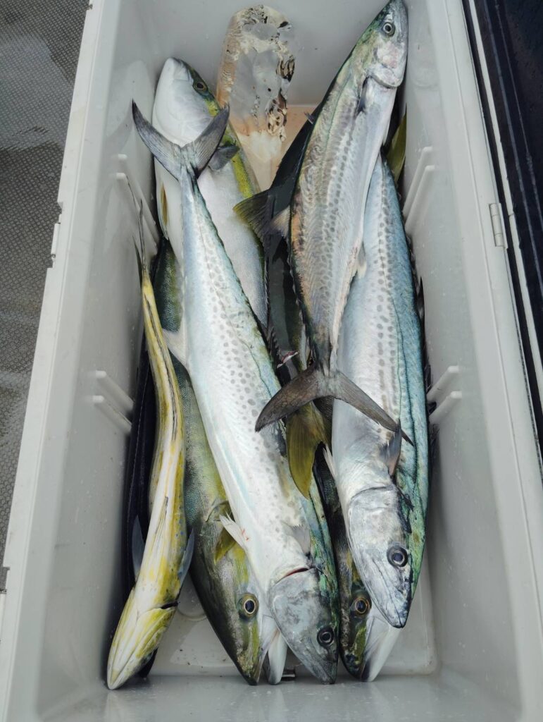 10月16日 午前便 鷹巣沖