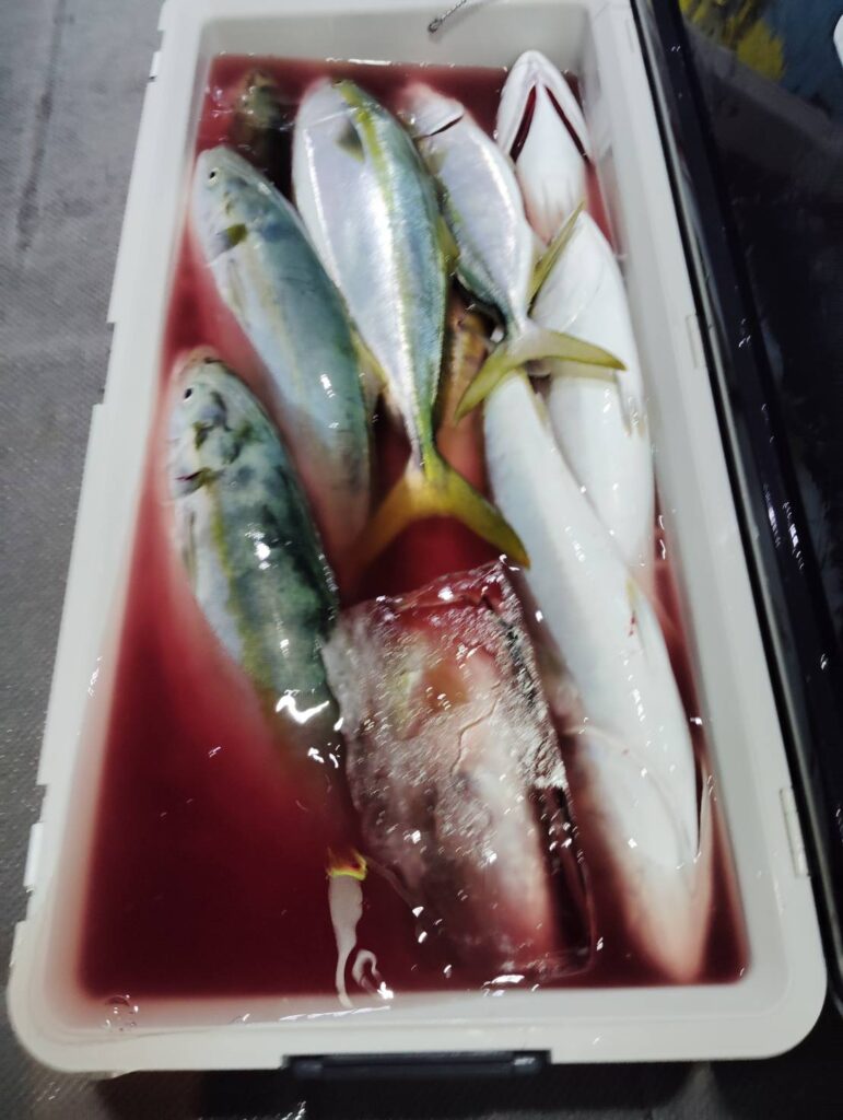 11月12日 半夜便 鷹巣沖