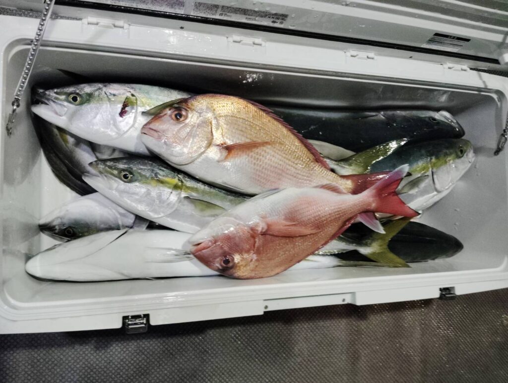 11月15日 午後便 鷹巣沖