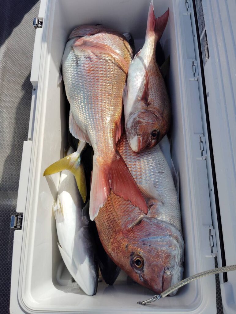 11月16日 午前便 鷹巣沖