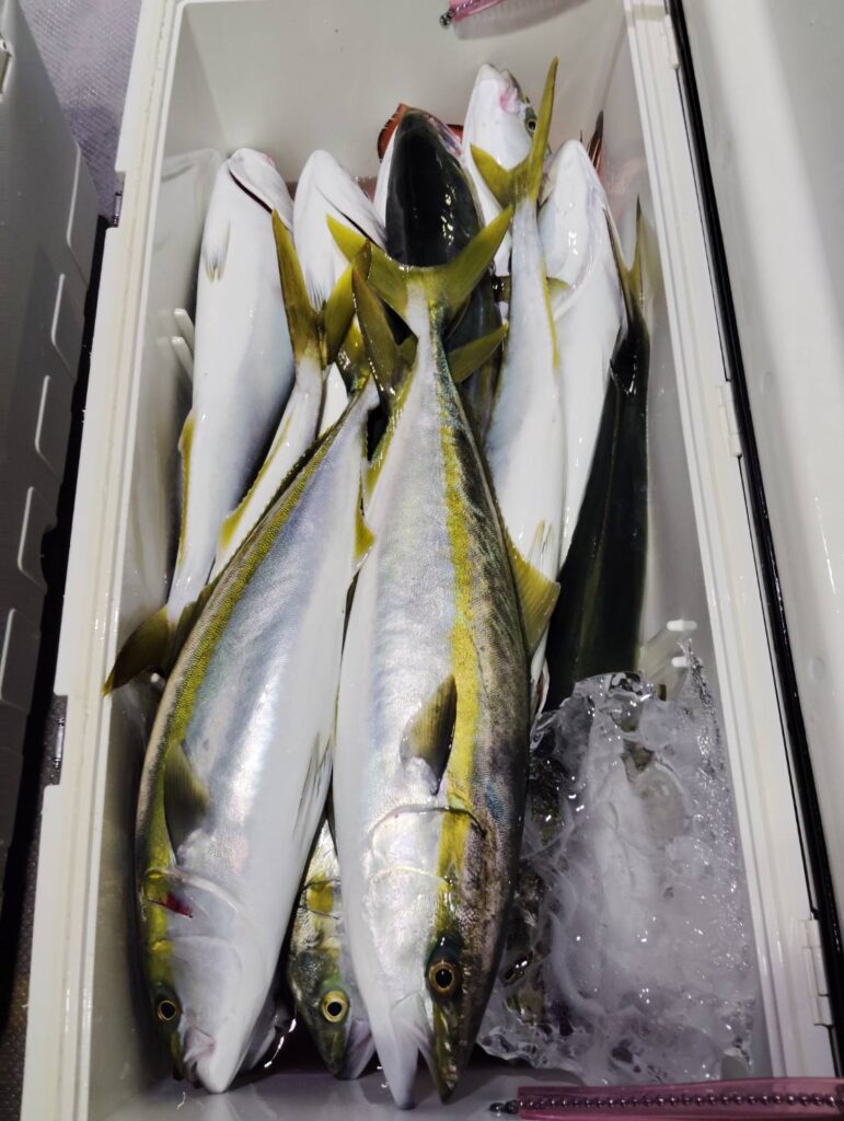 11月16日 午後便 鷹巣沖