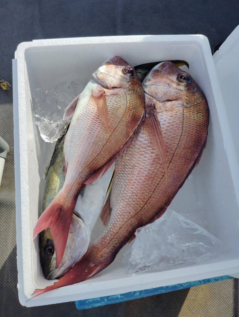 11月23日 午前便 鷹巣沖