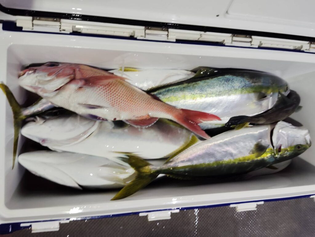 11月23日 午後便 鷹巣沖