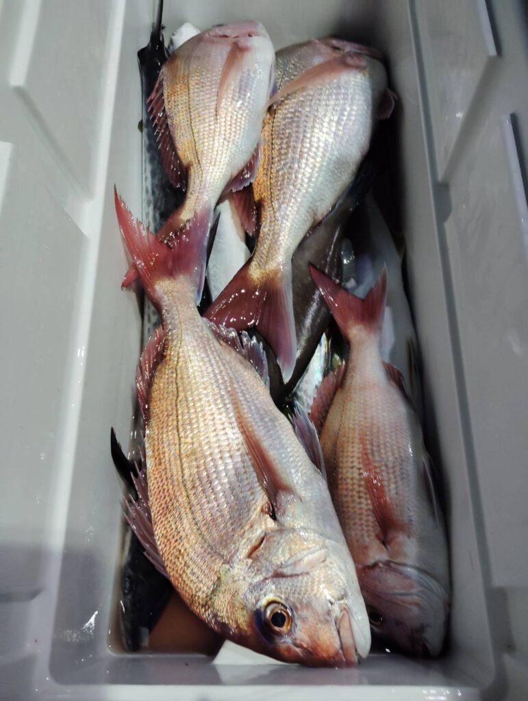 11月24日 半夜便 鷹巣沖