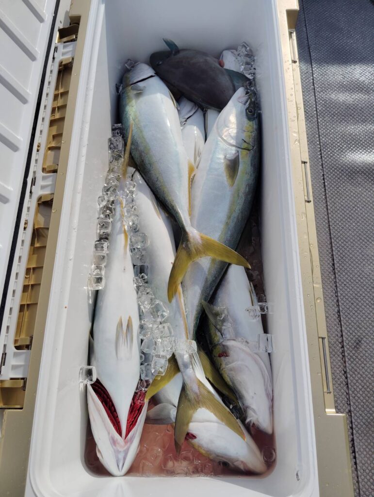 11月27日 午前便 鷹巣沖