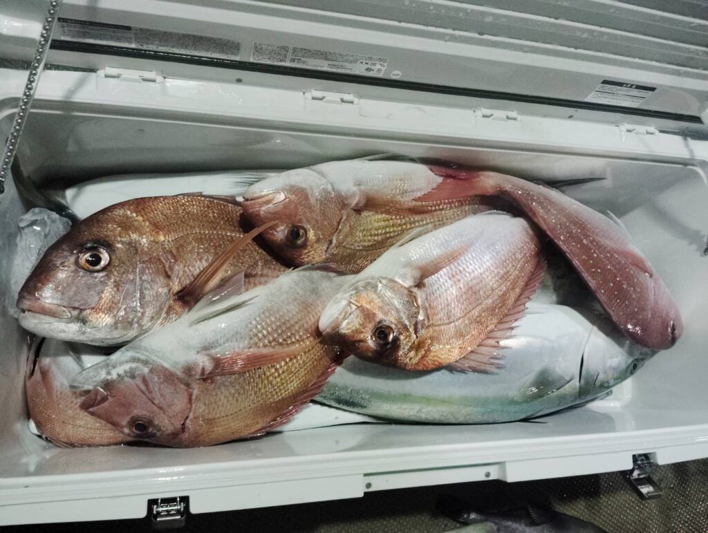 12月6日 午後便 鷹巣沖