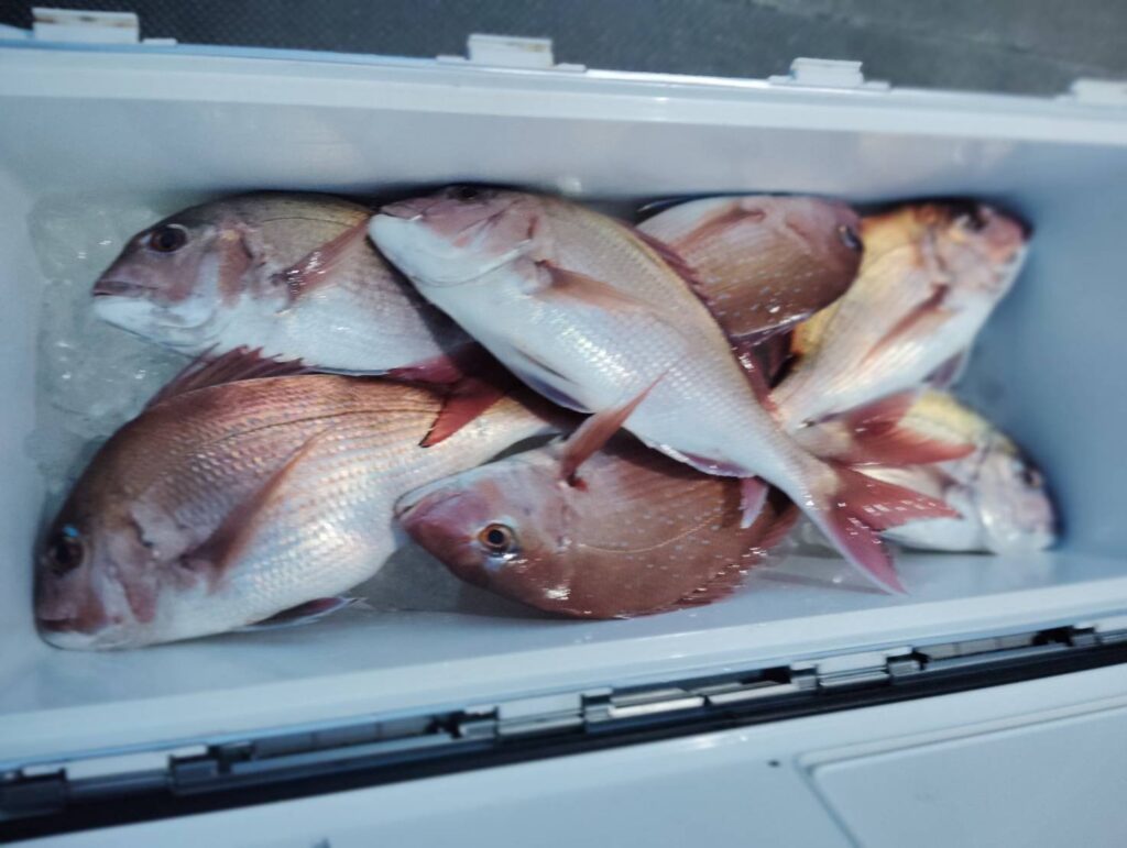 12月23日 午後便 鷹巣沖