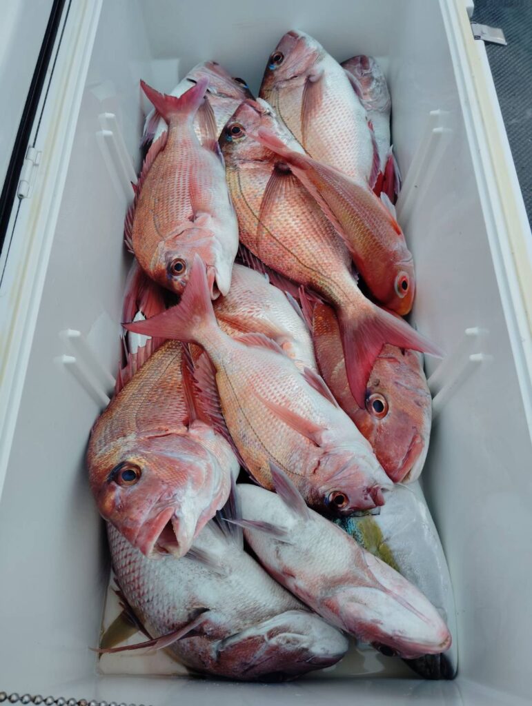 12月28日 午後便 鷹巣沖