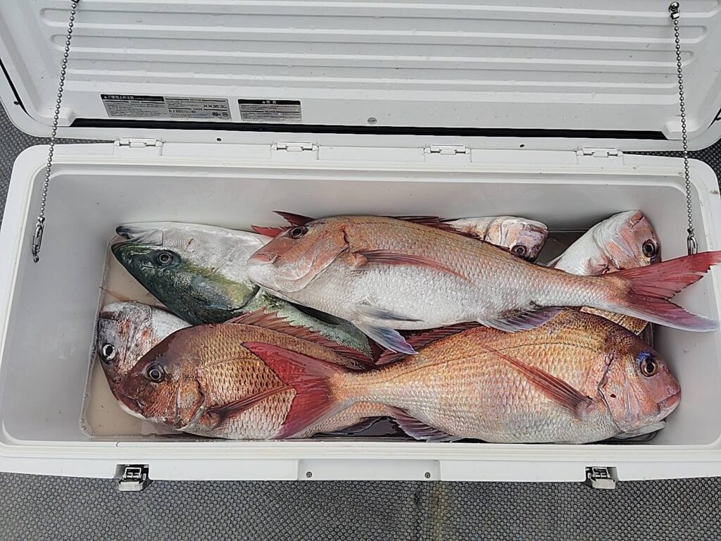 4月29日 午前便 鷹巣沖